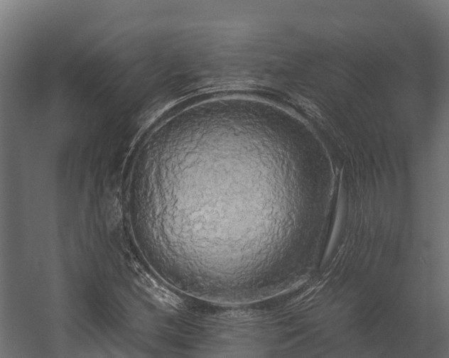 X0000058131212200509261252