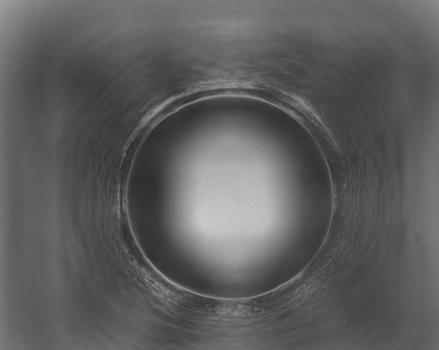 X0000058131220200509261252