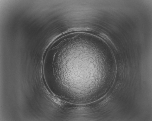 X0000058131228200509261252