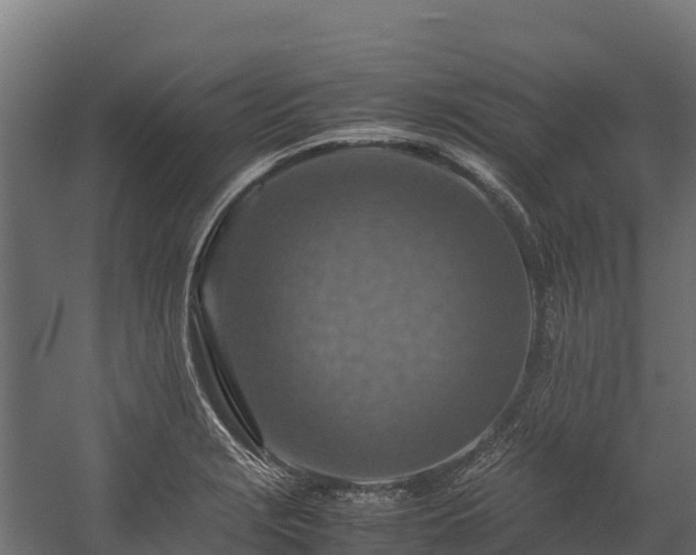 X0000058131229200509261252