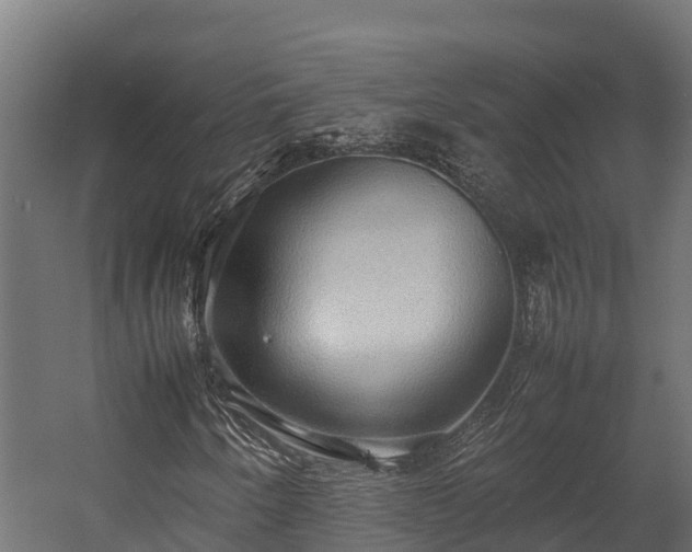 X0000058131250200509261251