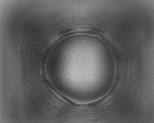 X0000058131257200509261251