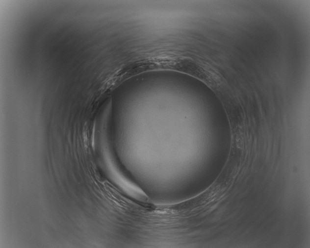X0000058131298200509261250