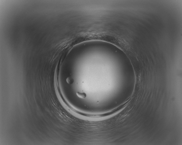 X0000058131300200509261250