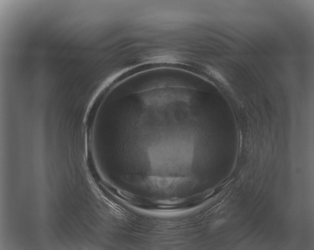 X0000058131323200509261250