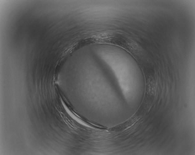 X0000058131346200509261250
