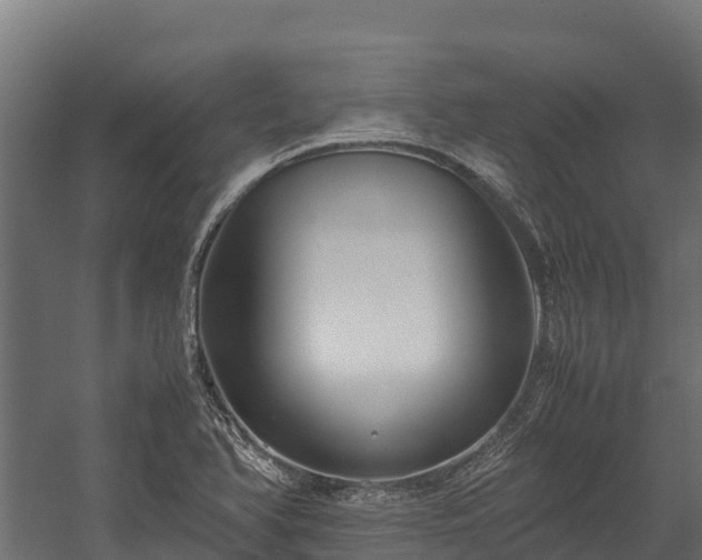 X0000058131366200509261249
