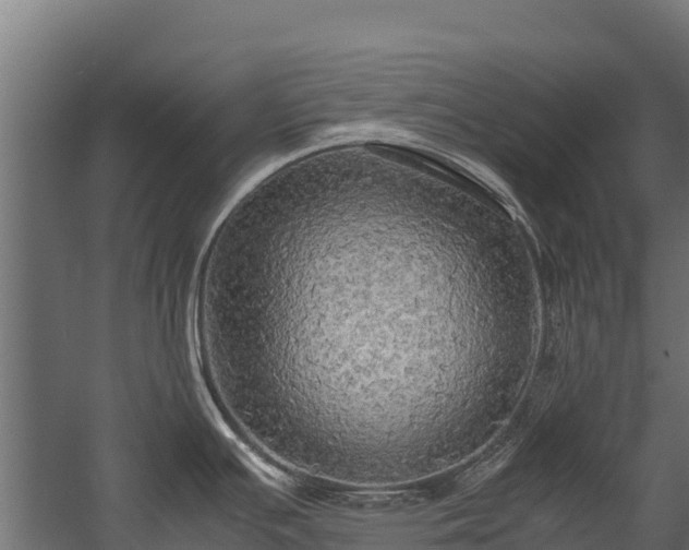 X0000058131391200509261249