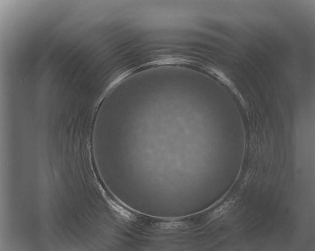 X0000058131425200509261249