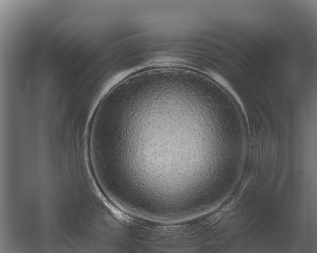 X0000058131437200509261249