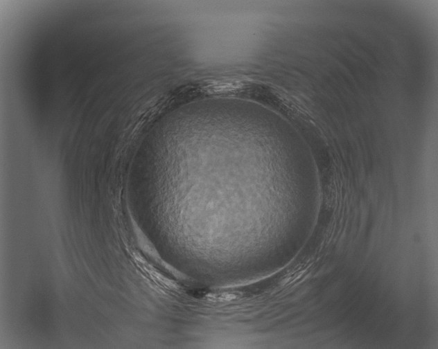 X0000058131441200509261248