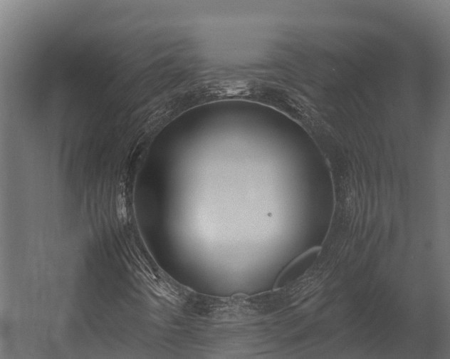 X0000058131442200509261248