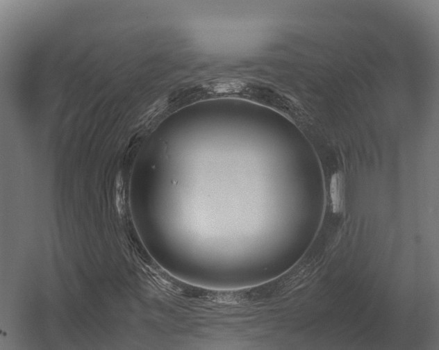 X0000058131443200509261248