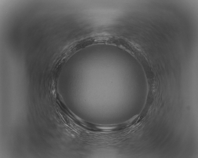 X0000058131445200509261248