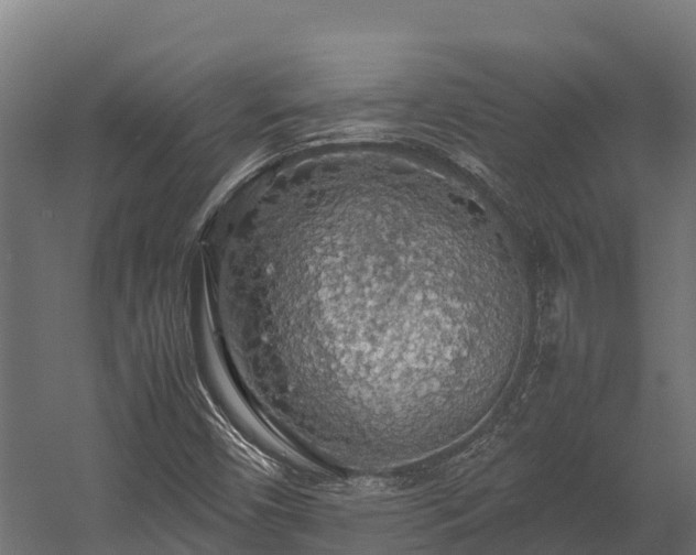 X0000058131450200509261248