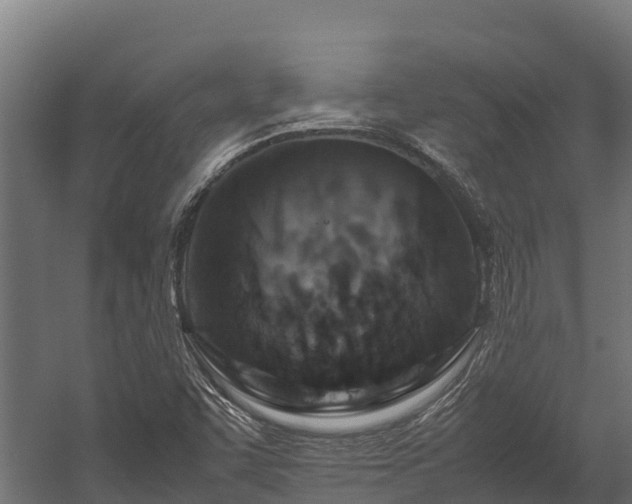 X0000058131455200509261248