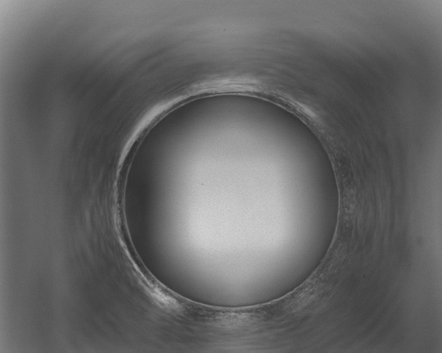 X0000058131470200509261247