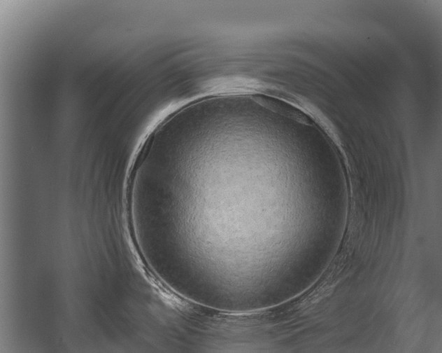 X0000058131488200509261247