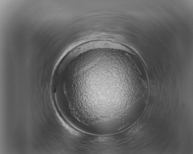X0000058131531200509261247