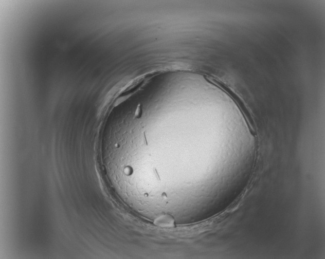 X0000058130001200509302005