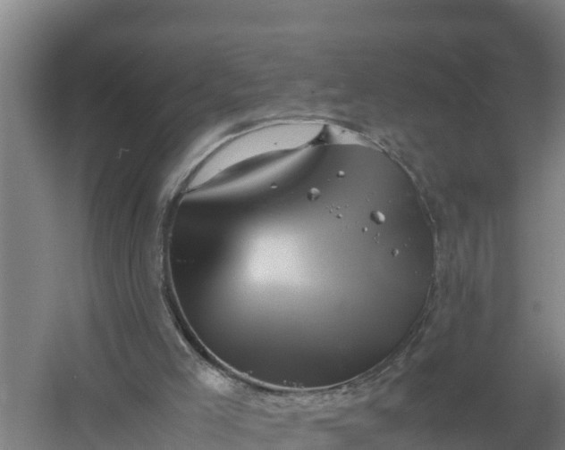 X0000058130005200509302005