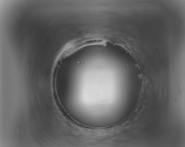 X0000058130006200509302005