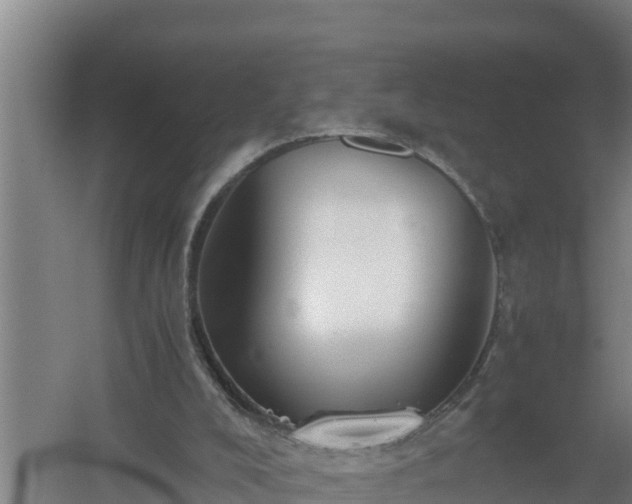 X0000058130008200509302005