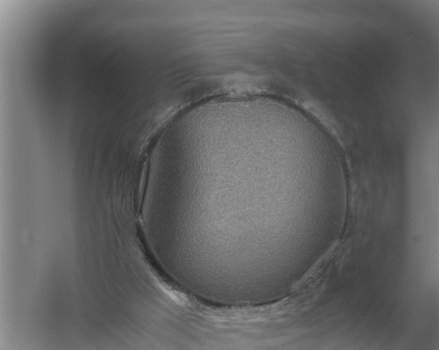 X0000058130009200509302005