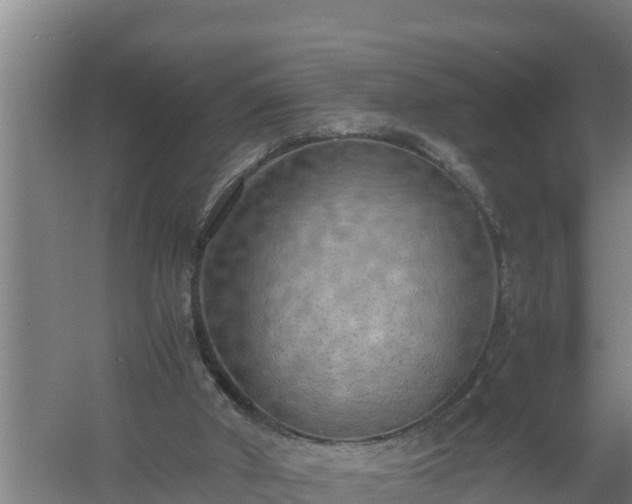 X0000058130010200509302005