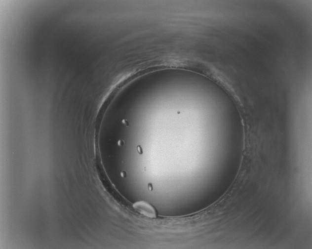 X0000058130011200509302005