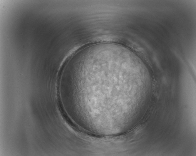 X0000058130012200509302005