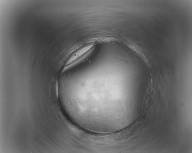 X0000058130013200509302005