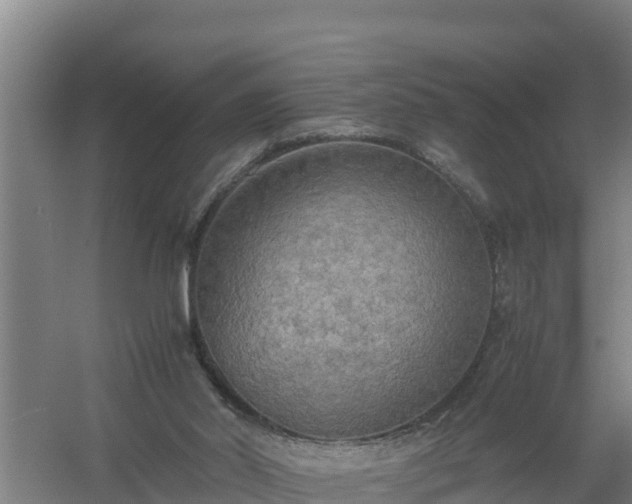 X0000058130014200509302005