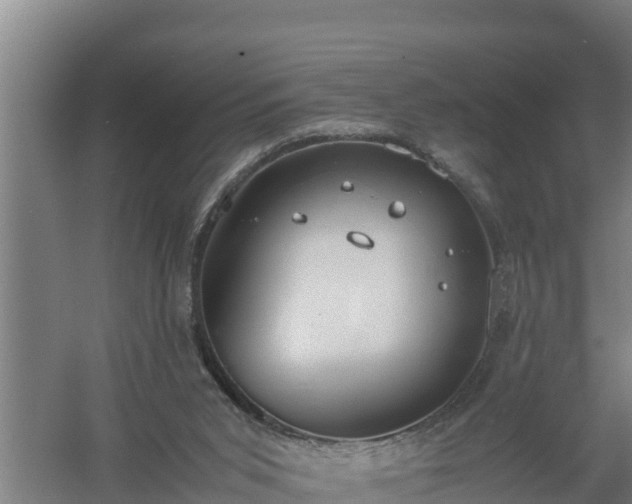 X0000058130015200509302005