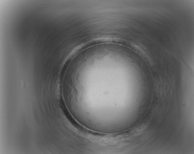 X0000058130016200509302004