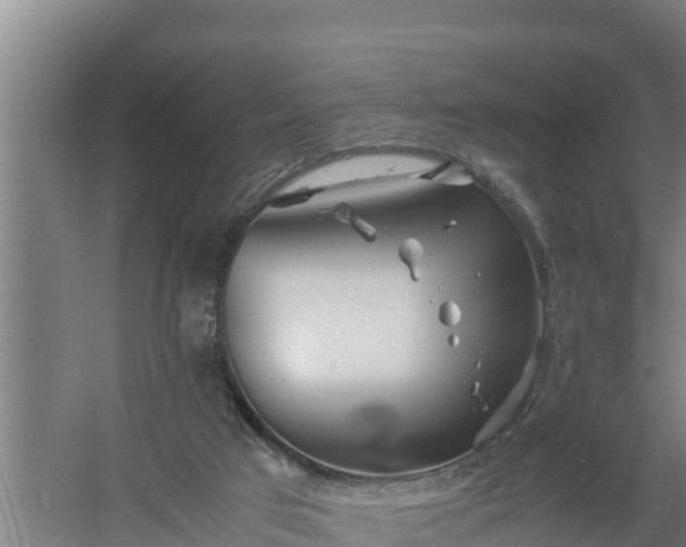 X0000058130017200509302004