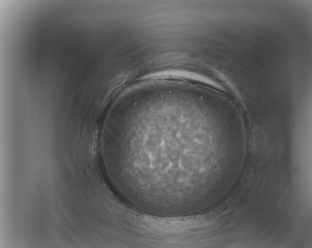 X0000058130018200509302004