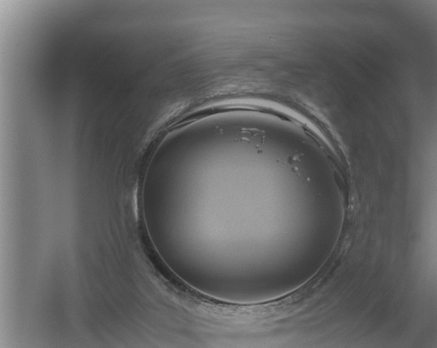 X0000058130019200509302004