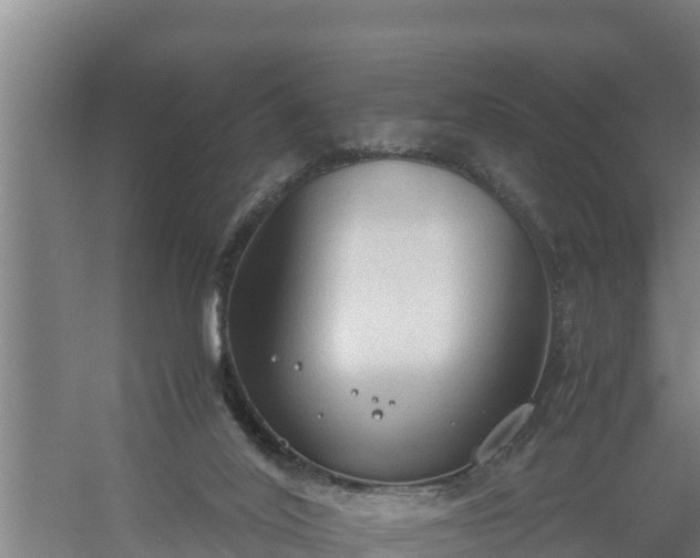 X0000058130020200509302004