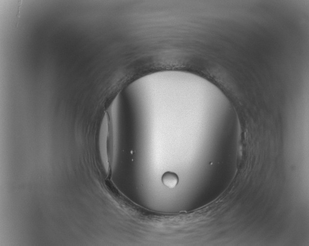 X0000058130021200509302004