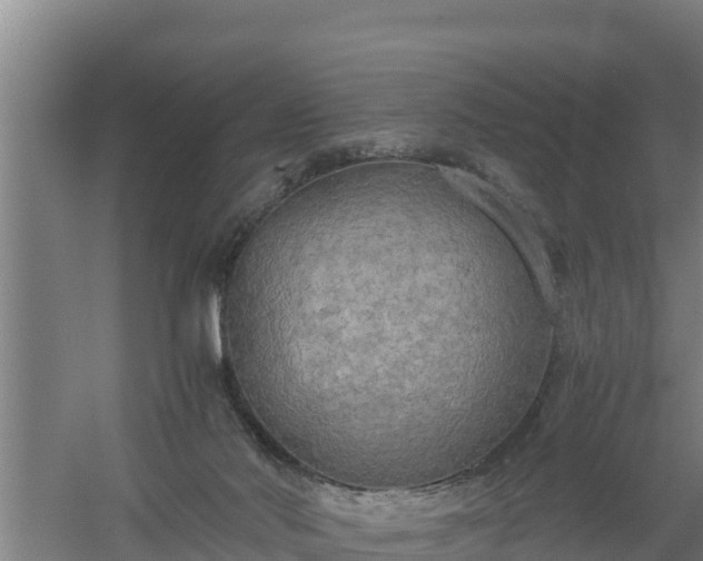 X0000058130022200509302004