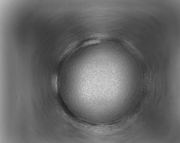 X0000058130024200509302004