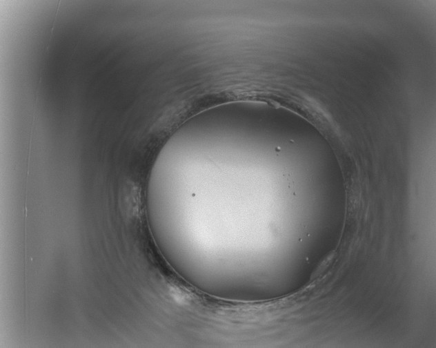 X0000058130025200509302004