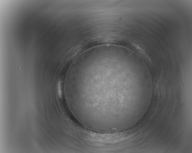 X0000058130026200509302004