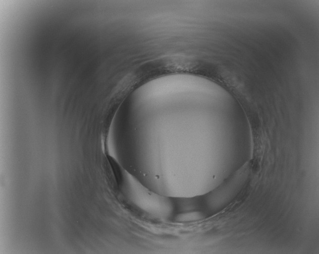 X0000058130027200509302004