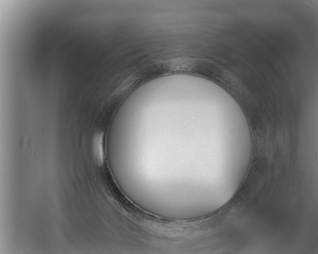 X0000058130028200509302004