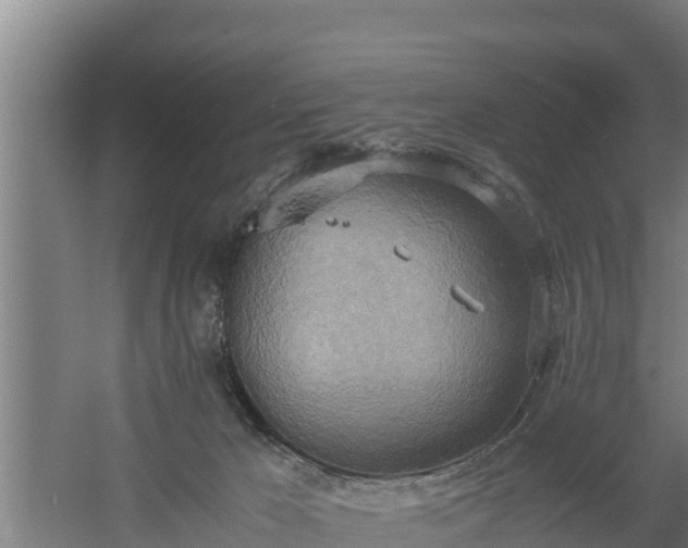 X0000058130029200509302004