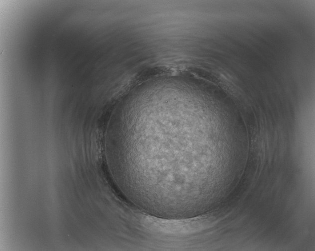 X0000058130030200509302004