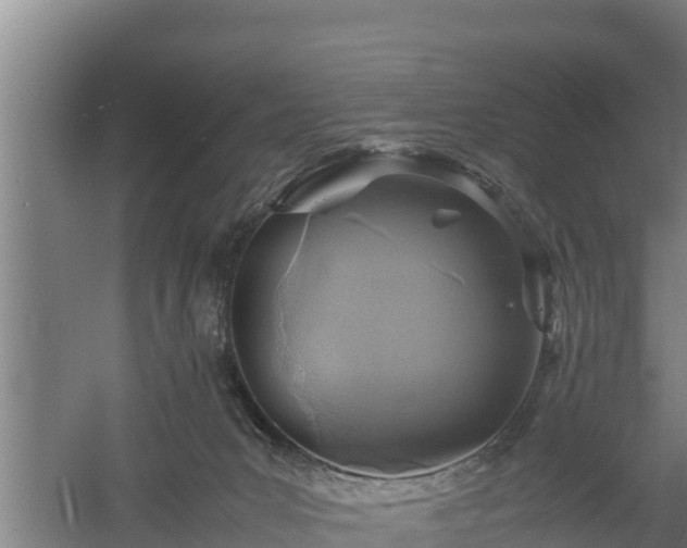 X0000058130031200509302004