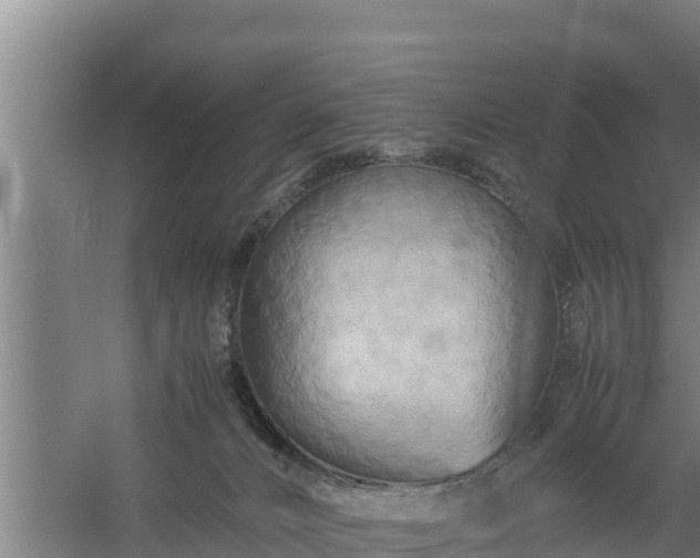 X0000058130032200509302004